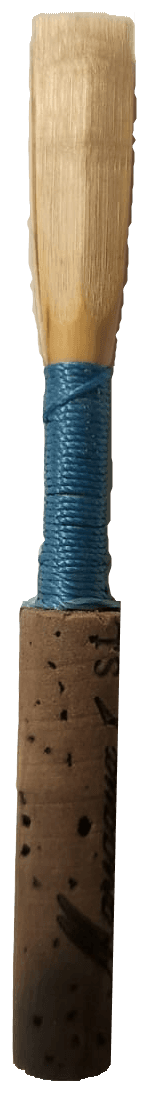 A finished oboe reed, tied and scraped by hand